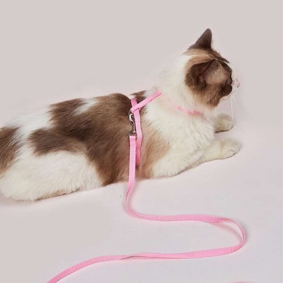 Black Pet Harness Leash - Picture 5 of 5